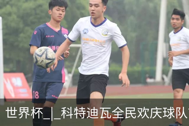 世界杯 | 科特迪瓦全民欢庆球队首进淘汰赛