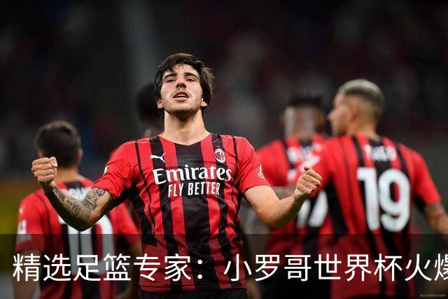 精选足篮专家：小罗哥世界杯火爆9连红长线15中13！