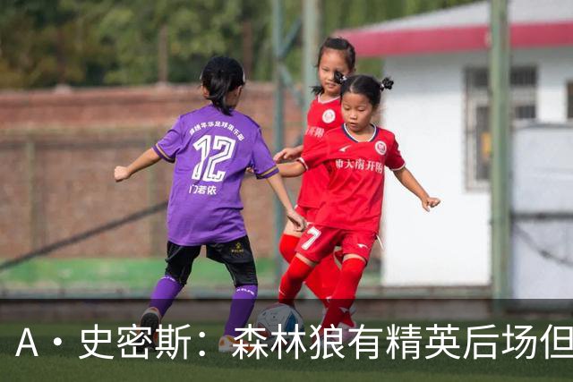 A·史密斯：森林狼有精英后场但体型变小 难应对雷霆马刺火箭掘金