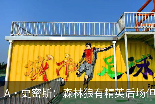 A·史密斯：森林狼有精英后场但体型变小 难应对雷霆马刺火箭掘金